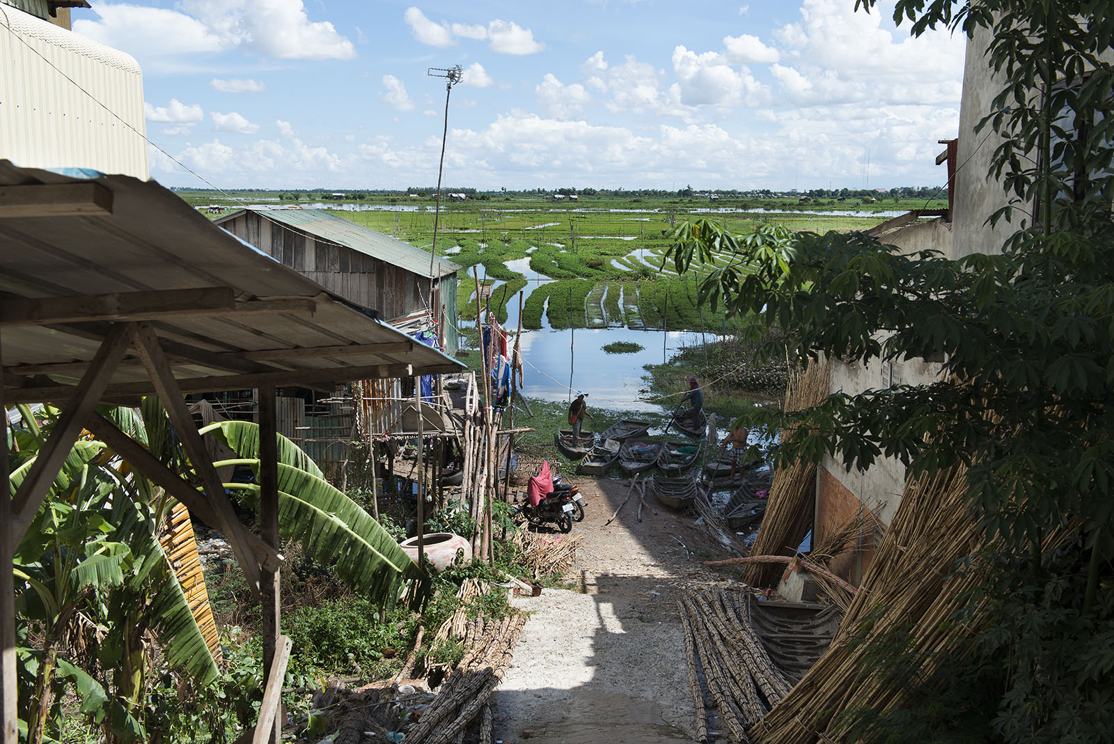 A small farm nestled in to the bursting city of Phnom Penh in Cambodia.